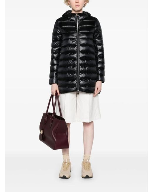 Herno Black Coats