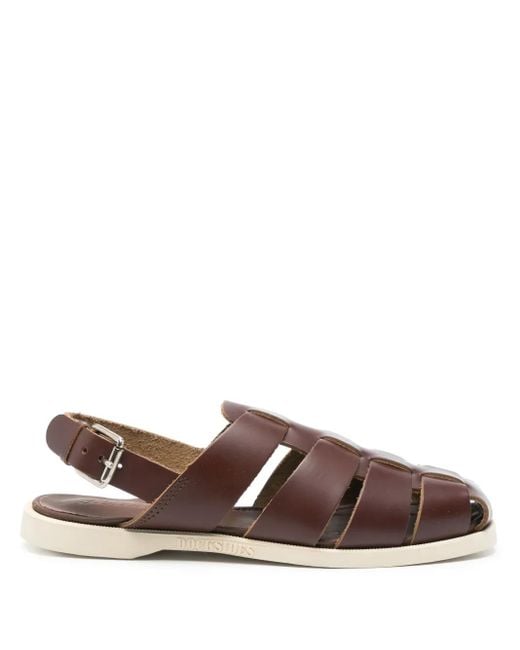 Sebago Meredith サンダル Brown