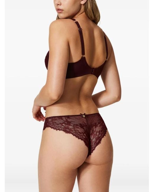 Sujetador de encaje Twinset de color Purple