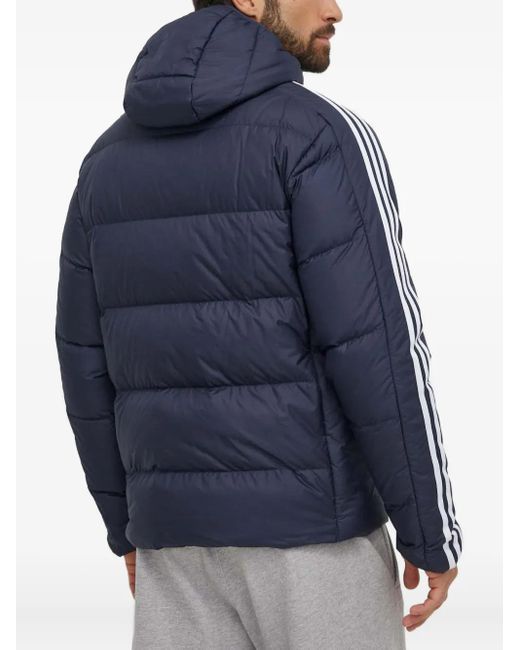 Adidas Blue Three-Stripe Padded Jacket for men
