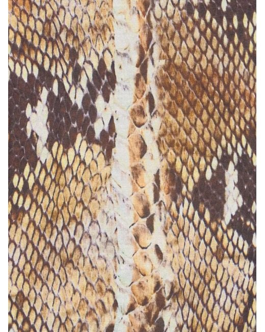 Roberto Cavalli Natural Snakeskin-Print Cotton Dress