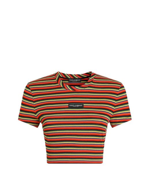Dolce & Gabbana Brown Striped Jersey T-Shirt