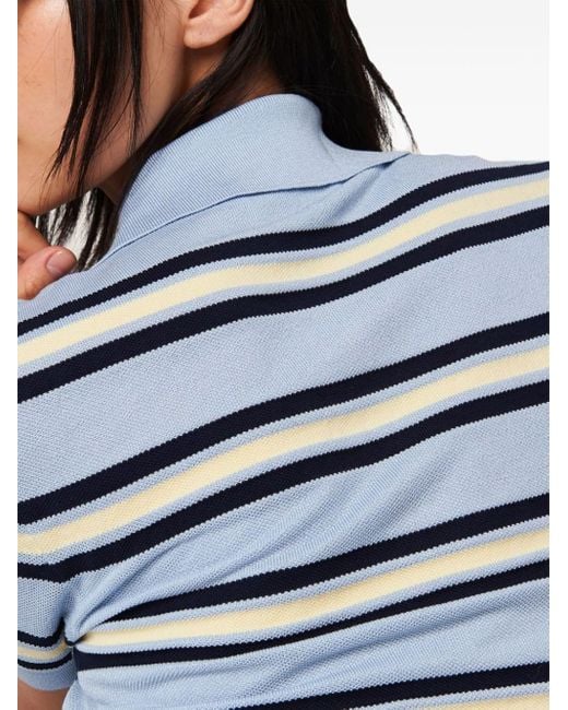 Miu Miu Blue Striped Knitted Cotton Polo Shirt