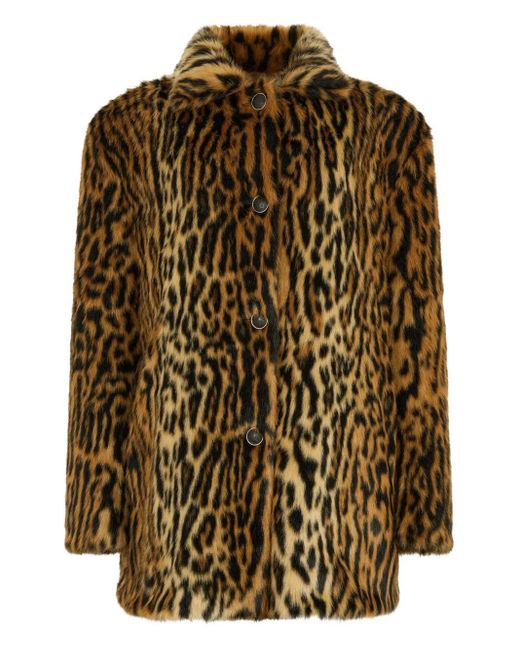 Roberto Cavalli Brown Leopard-Print Button Coat