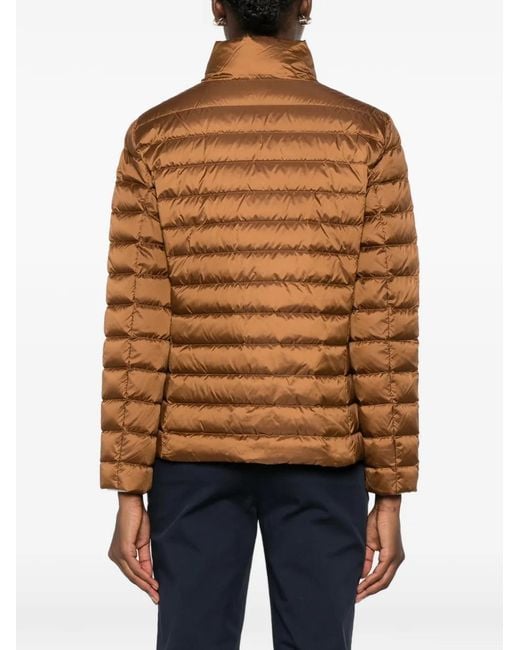 Gant Brown Quilted High-Neck Jacket