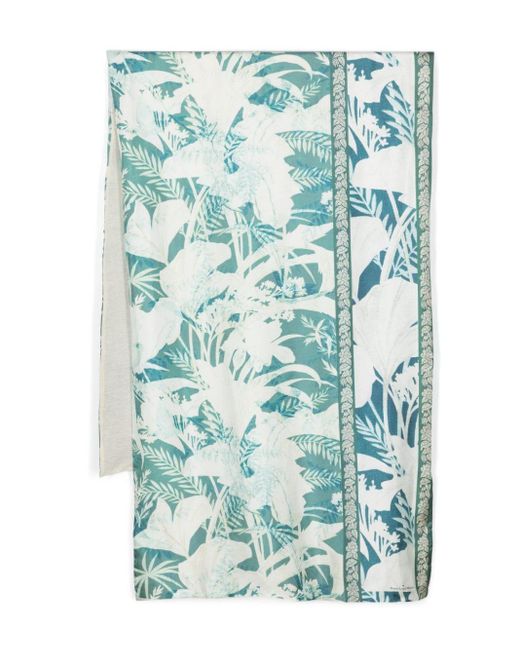 Aloesta floral-print silk scarf Pierre Louis Mascia de color Blue