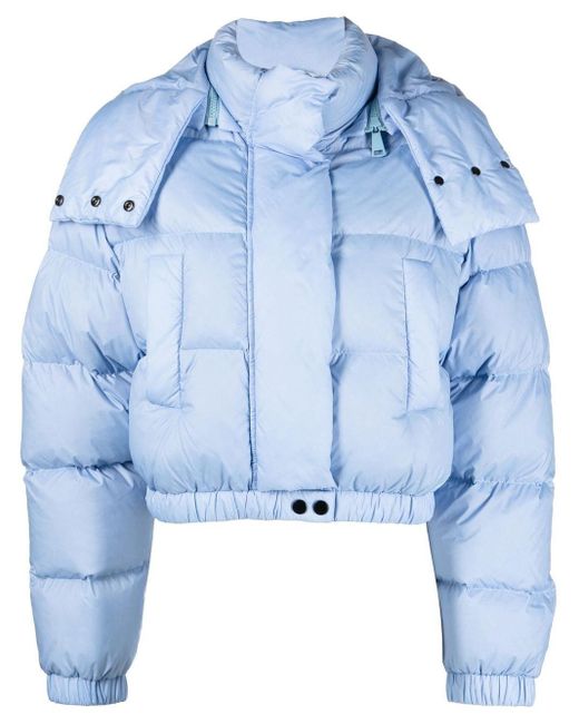 Dorothee Schumacher Cropped Down-padded Jacket in Blue | Lyst