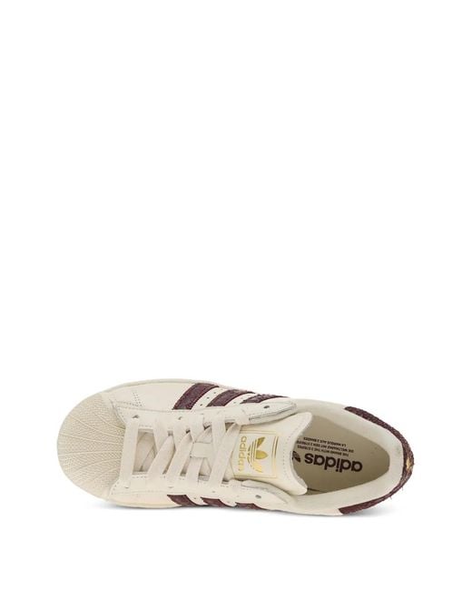 Adidas White Baskets Superstar