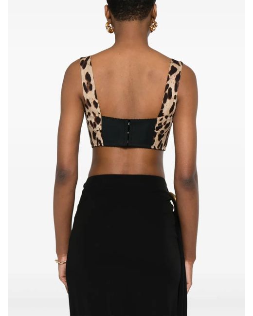 Dolce & Gabbana Brown Silk-Blend Cropped Top