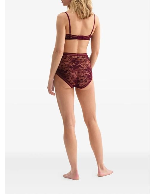 Eres Purple Triangel-Bh Aus Geblümter Spitze