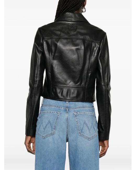 Giacca Con Zip di Pinko in Black