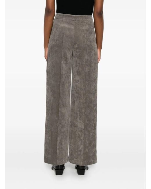 Drykorn Ribfluwelen Broek in het Gray