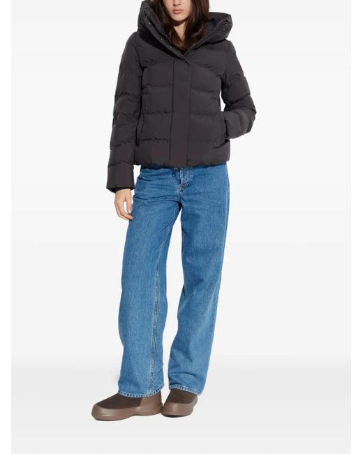 Save The Duck Gray Arena Hooded Puffer Jacket