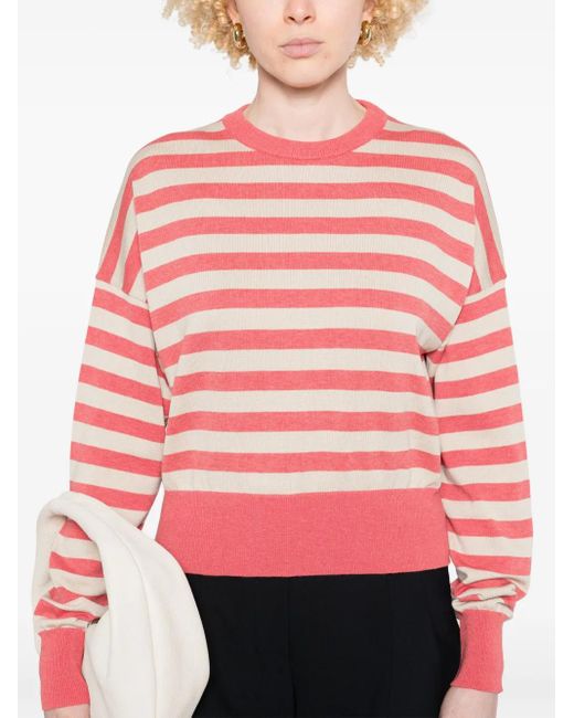 Daniele Fiesoli ストライプ Tシャツ Red