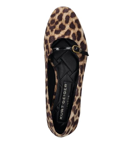 Kurt Geiger Brown Flexi Ballerinas