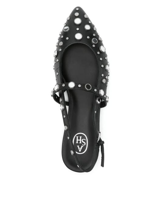 Ash Black Brenda Ballet Flats