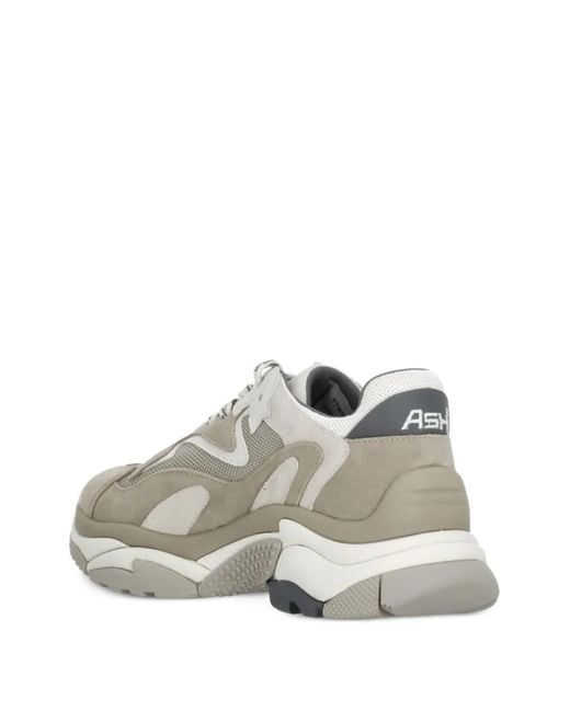 Ash White Baskets Addict