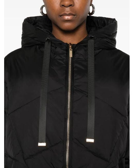 Piumino Trapuntato Con Cappuccio di Twinset in Black