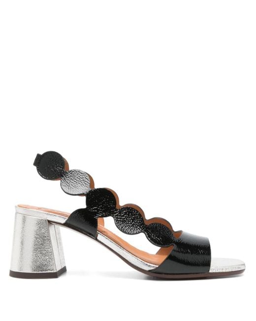 Chie Mihara Black 65Mm Roka Sandals