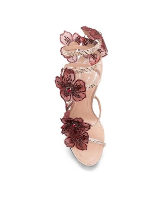 Rene Caovilla Pink 110Mm Peach Flower Sandals