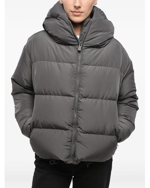 Bacon Gray Cloud Zip-Up Puffer Jacket