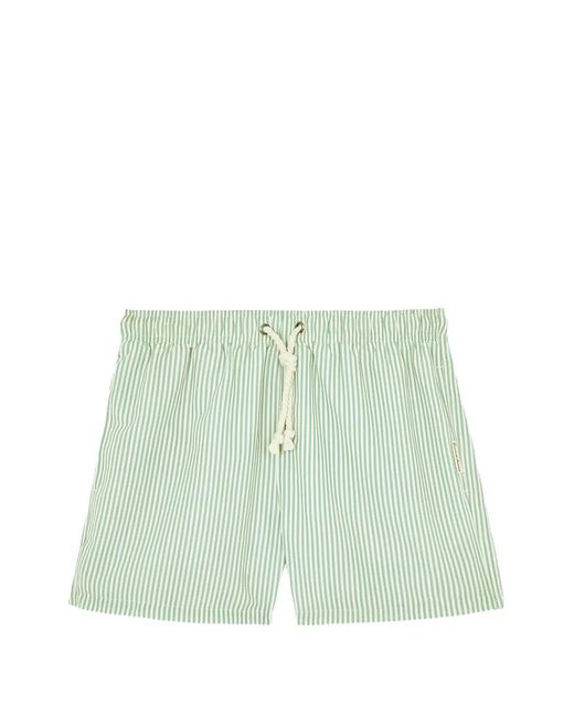 GASSA D'AMANTE Green Tropea Vertical-Stripe Swim Shorts for men