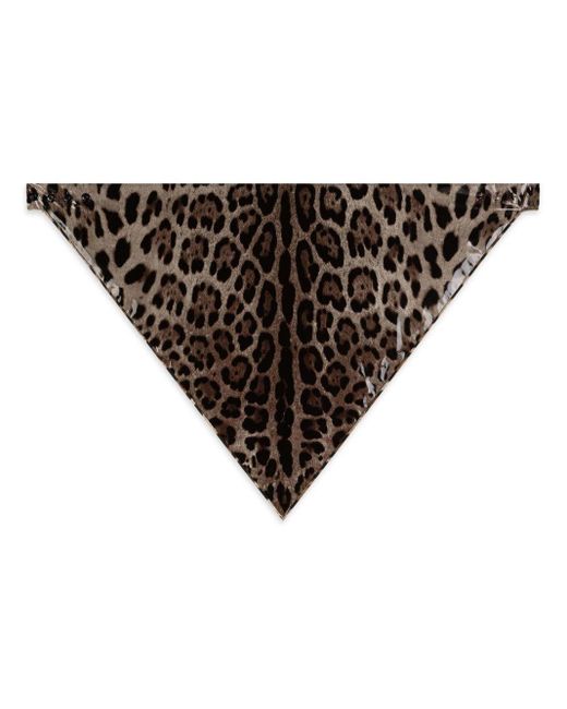 Dolce & Gabbana Black Seidenschal mit Leoparden-Print