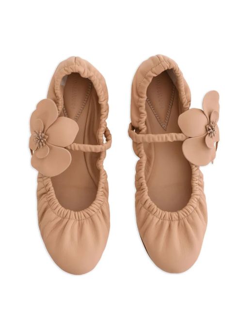 Zimmermann Pink Orchid Ballet Flats