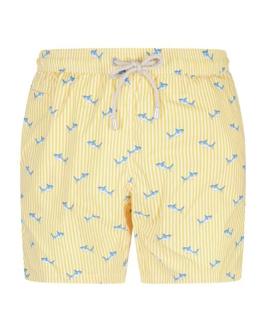 メンズ Mc2 Saint Barth Comfort Light トランクス水着 Yellow