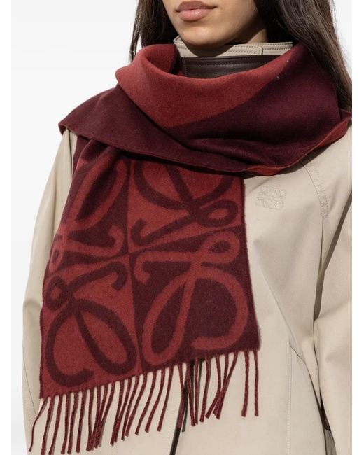 Écharpe Frangée À Logo Loewe en coloris Red