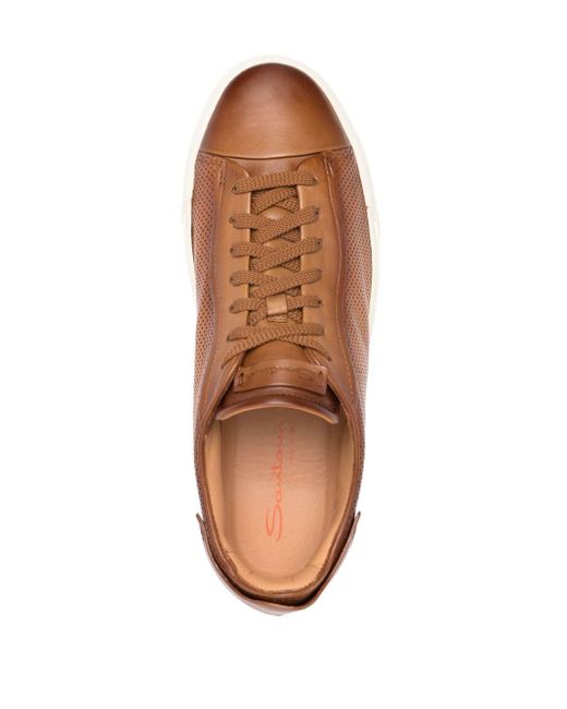 Santoni Brown Perforated-design Leather Sneakers for men