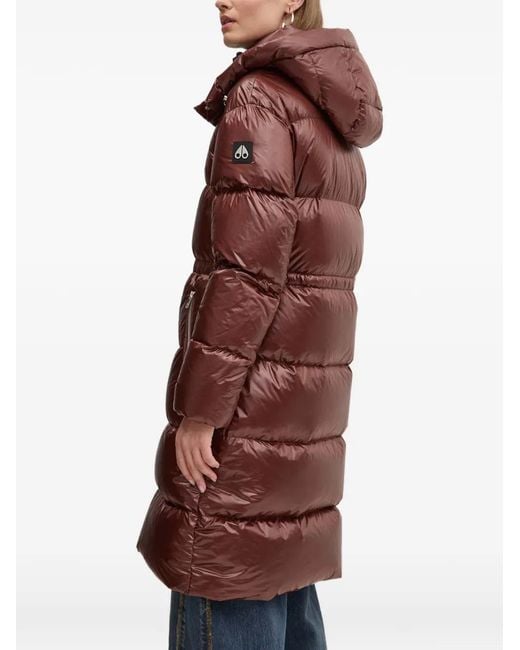 Moose Knuckles Brown Padded Hooded Jacket