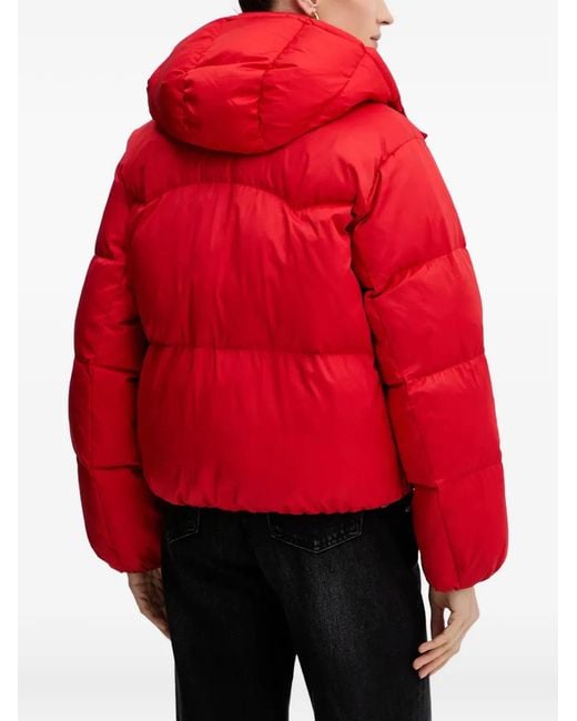 Levi's Red Hooded Puffer Jacket