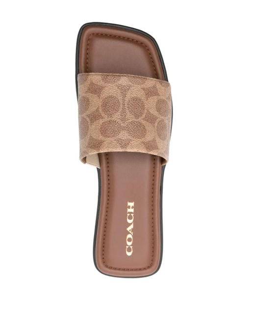 COACH Brown Florence Leather Sandals