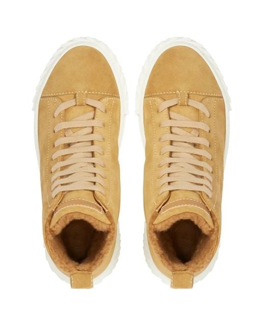Giuseppe Zanotti Brown Ecoblabber High-Top Sneakers
