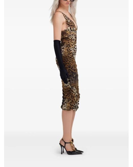 Roberto Cavalli Metallic Leopard-Print Midi Dress
