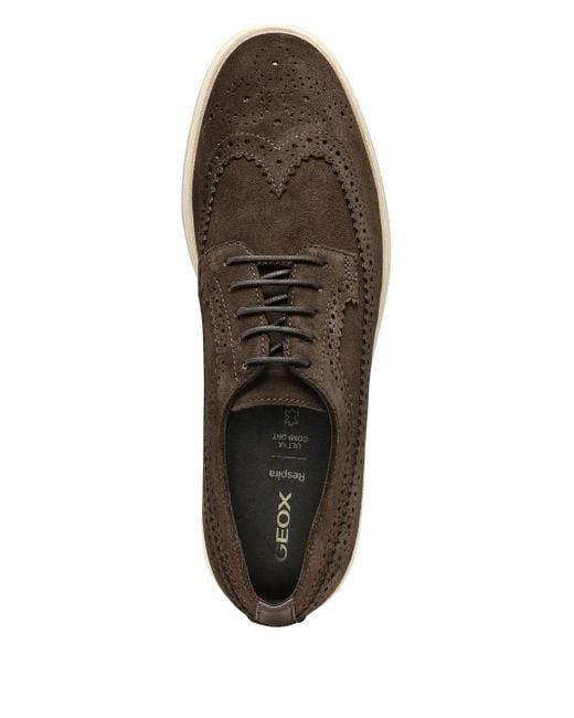 Geox Brown Brogue-Detail Suede Derby Shoes for men