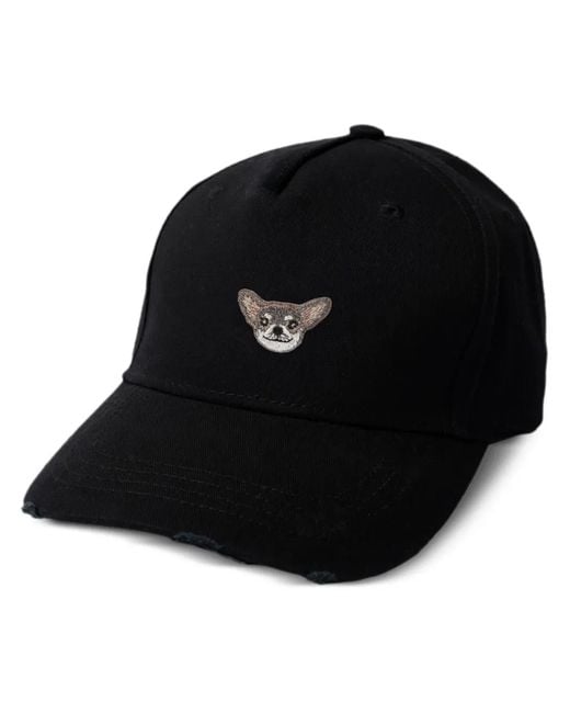 PELO FOUNDATION Black Chihuahua Cap