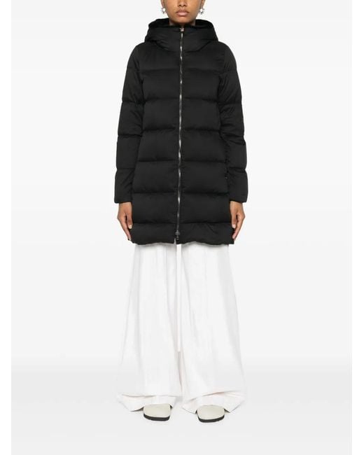 Herno Black Coats