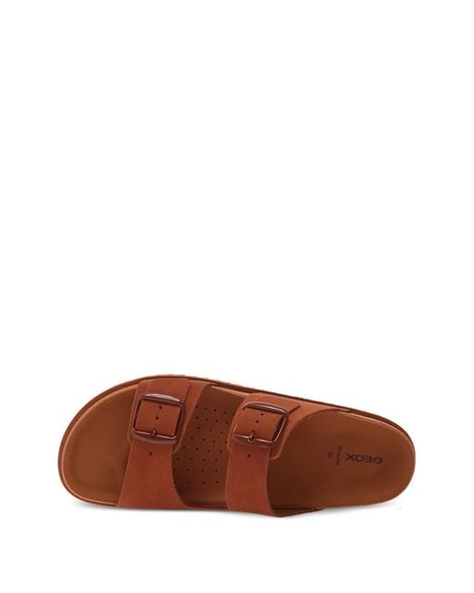 Geox Brown Sandales À Détails De Boucles