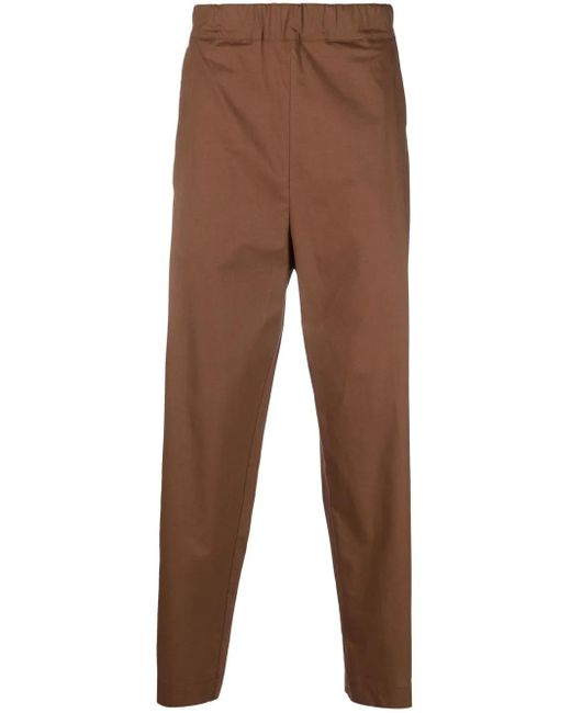 Laneus Brown Stretch-Cotton Tapered Trousers for men