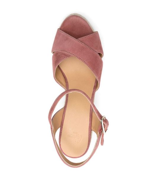 Castaner Pink Blaudell/8Ed/007 Shoes