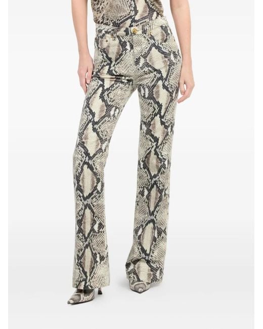 Roberto Cavalli Gray Python-Print Trousers