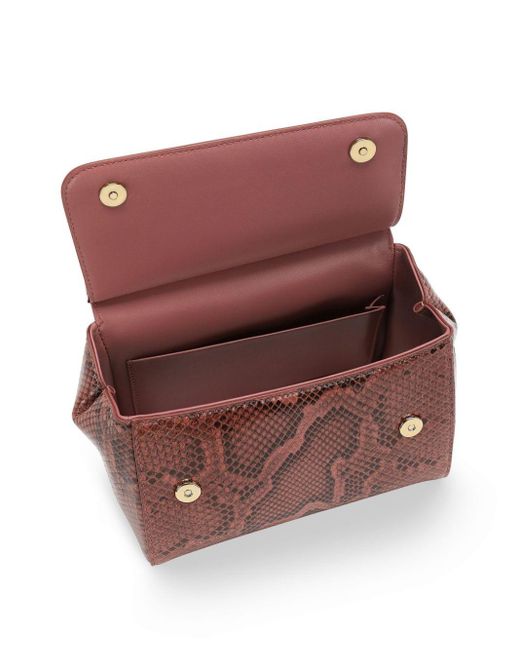 Dolce & Gabbana Brown Sicily Handtasche in Schlangenleder-Optik