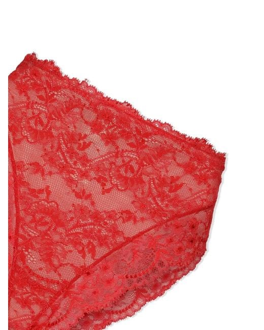 Dolce & Gabbana Red High-Waisted Lace Briefs
