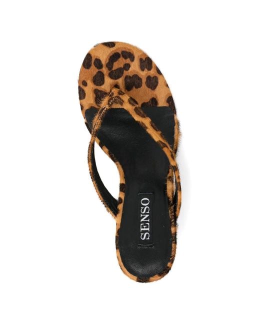 Senso Brown 70Mm Farah Ii Sandals