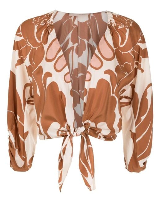 Adriana Degreas Brown Graphic-print V-neck Top