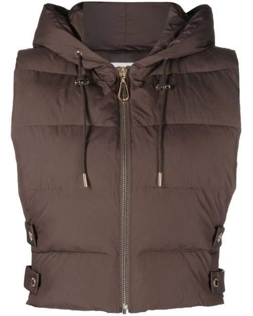 Sandro Brown Cropped Hooded Padded Gilet