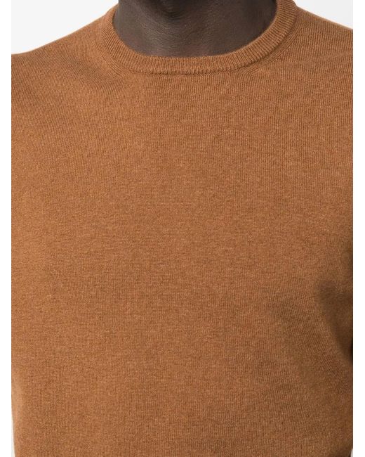 Malo Brown Crew Neck Cashmere Sweater for men