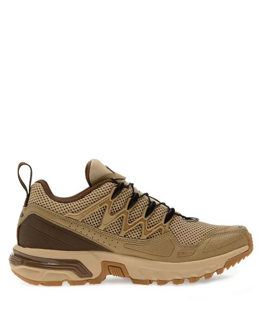 Salomon ローカット スニーカー Brown